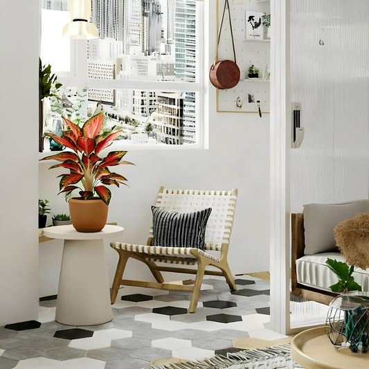 עציץ שעם - הדמיה